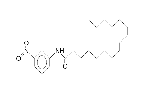 3'-nitropalmitanilide