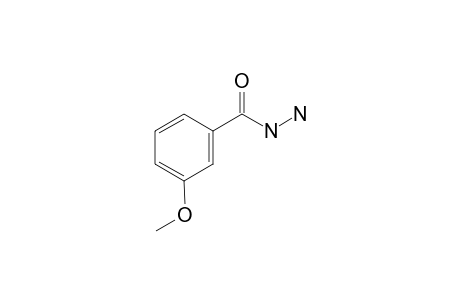 m-Anisic hydrazide