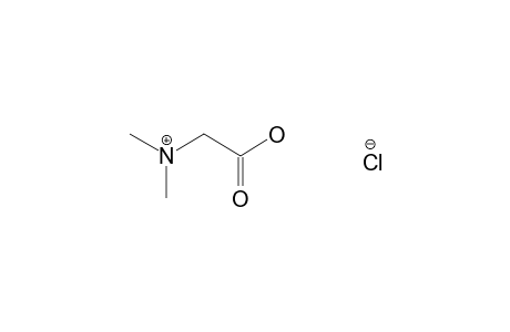 N,N-Dimethylglycine hydrochloride