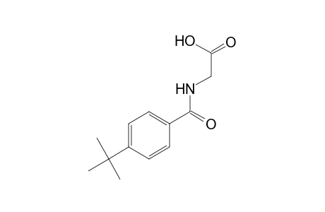 p-tert-BUTYLHIPPURIC ACID