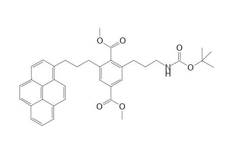 2-(tert-Butoxycarbonylaminopropyl)-6-(3-pyren-1-ylpropyl)terephthalic acid dimethyl ester