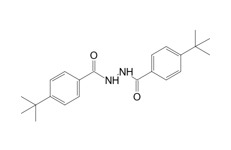 1,2-bis(p-Tert-butylbenzoyl)hydrazine