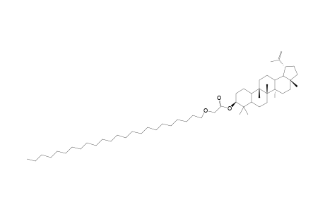 3-O-[(2'-tetracosyloxy)acetyl]-lupeol