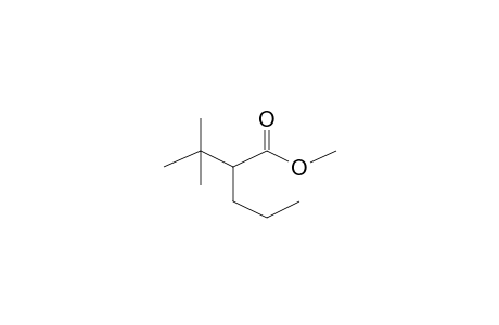 2-t-Butylpentanoic acid, methyl ester