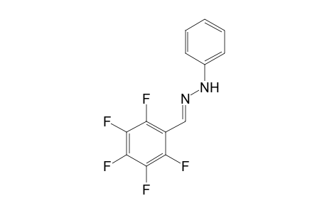 2,3,4,5,6-pentafluorobenzaldehyde, phenylhydrazone