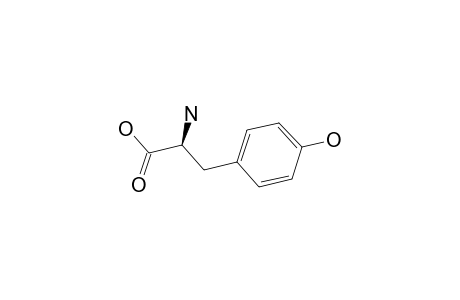 L-Tyrosine