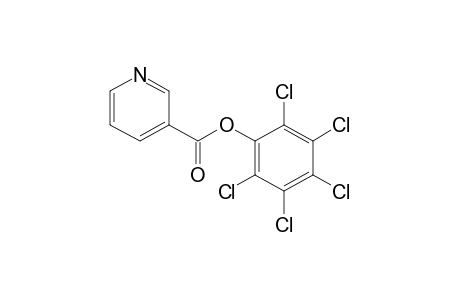 nicotinic acid, pentachlorophenyl ester