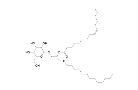 MGDG O-13:1_15:1