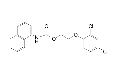 1-NAPHTHALENECARBAMIC ACID, 2-(2,4-DICHLOROPHENOXY)ETHYL ESTER