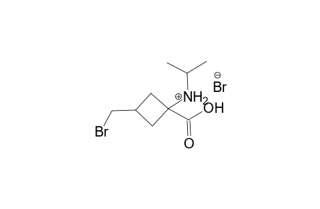 3-(Bromomethyl)-1-[(1-methylethyl)amino]cyclobutanecarboxylic acid bromide