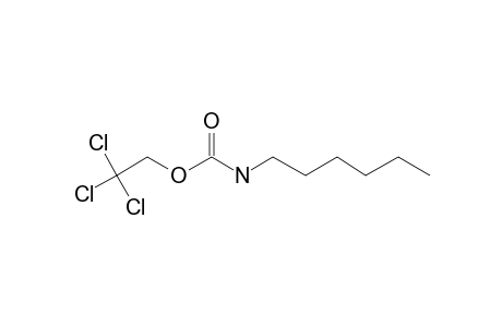 Carbonic acid, monoamide, N-hexyl-, 2,2,2-trichloroethyl ester