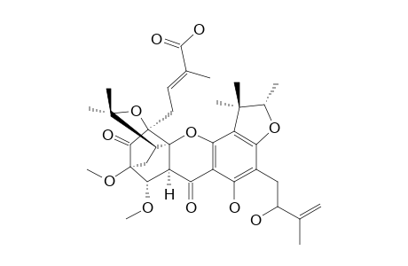 SCORTECHINONE_S