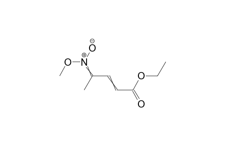 4-(O-Methyl-aci-nitro)-2-pentenoic acid-ethylester