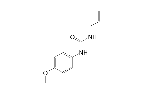 1-allyl-3-(p-methoxyphenyl)urea