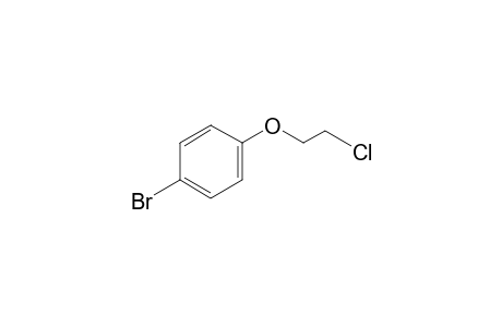 4-Bromophenyl 2-chloroethyl ether