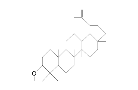 19.alpha.-H-Lupeol-methyl-ether