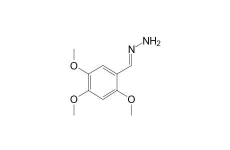 2,4,5-Trimethoxybenzaldehyde, hydrazone