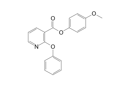 2-phenoxynicotinic acid, p-methoxyphenyl ester