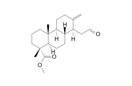 (1R,4aR,4bS,8S,8aS,10aR)-1,4a-dimethyl-7-methylene-8-(2-oxoethyl)-3,4,4b,5,6,8,8a,9,10,10a-decahydro-2H-phenanthrene-1-carboxylic acid methyl ester