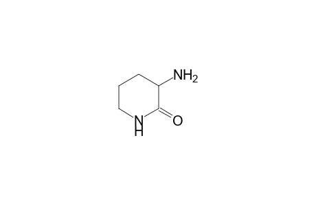 L-ORNITINE-DELTA-LACTAM