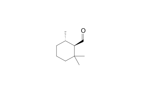 (+)-(1R,6S)-2,2,6-TRIMETHYLCYCLOHEXANE-1-CARBALDEHYDE