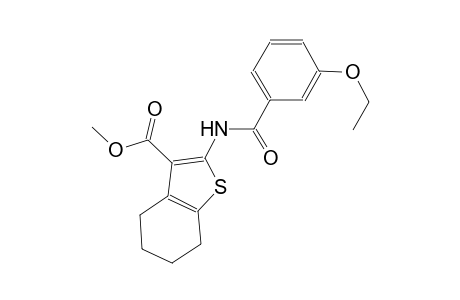 methyl 2-[(3-ethoxybenzoyl)amino]-4,5,6,7-tetrahydro-1-benzothiophene-3-carboxylate