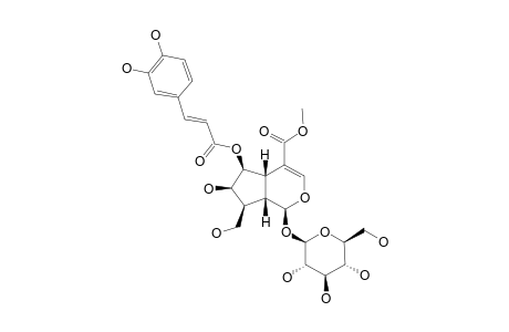 ARBORTRISTOSIDE B