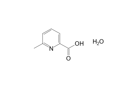6-methylpicolinic acid, hydrate