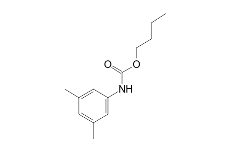 3,5-dimethylcarbanilic acid, butyl ester