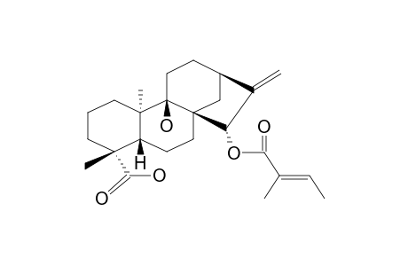 CSECYHNWAWCJBQ-HUMFMXAESA-N