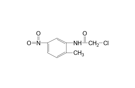 2-chloro-5'-nitro-o-acetotoluidide