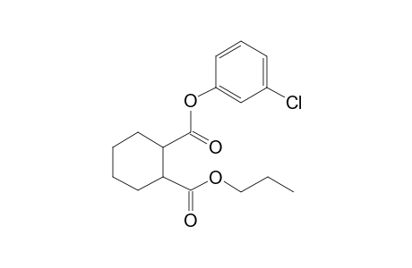 1,2-Cyclohexanedicarboxylic acid, 3-chlorophenyl propyl ester