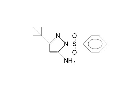 5-Amino-1-phenylsulfonyl-3-tert-butylpyrazole