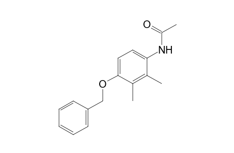 4'-(benzyloxy)-2',3'-acetoxylidide