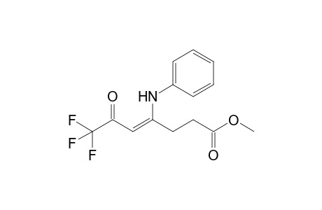 METHYL-4-PHENYLAMINO-6-OXO-7,7,7-TRIFLUORO-4-HEPTENOATE