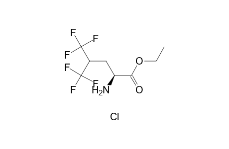 (S)-5,5,5,5',5',5'-Hexafluoroleucine ethyl ester (hydrochloride)