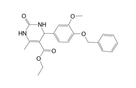 4-(3-Methoxy-4-phenylmethoxyphenyl)-6-methyl-2-oxo-3,4-dihydro-1H-pyrimidine-5-carboxylic acid ethyl ester