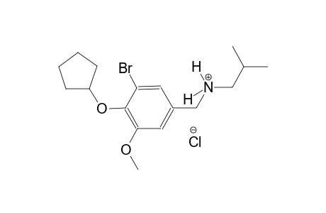 N-[3-bromo-4-(cyclopentyloxy)-5-methoxybenzyl]-2-methyl-1-propanaminium chloride