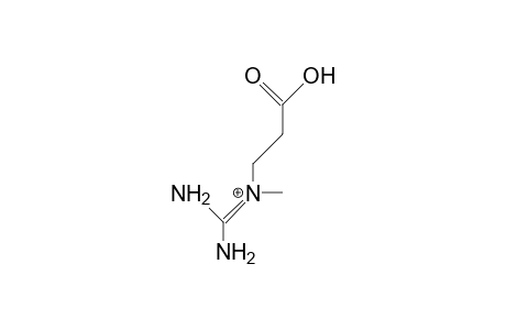 N-Methyl-N-amidino.beta.-alanine cation