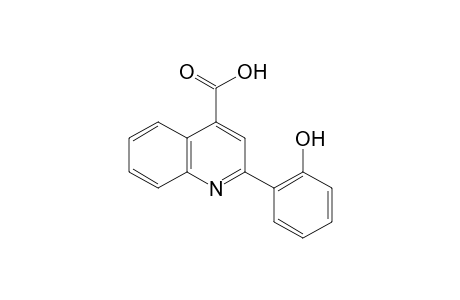 2-(o-hydroxyphenyl)cinchoninic acid