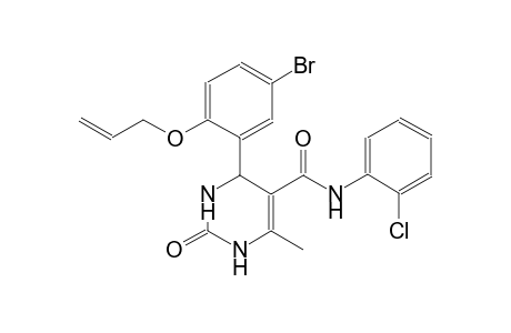 4-[2-(allyloxy)-5-bromophenyl]-N-(2-chlorophenyl)-6-methyl-2-oxo-1,2,3,4-tetrahydro-5-pyrimidinecarboxamide