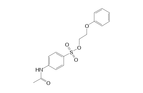 p-acetamidobenzenesulfonic acid, 2-phenoxyethyl ester