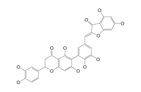 CAMPYLOPUSAURONE