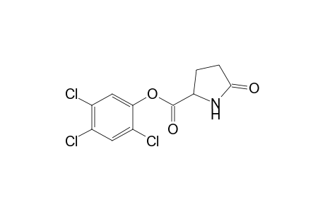 PYROGLUTAMIC-ACID-2,4,5-TRICHLOROPHENYLESTER