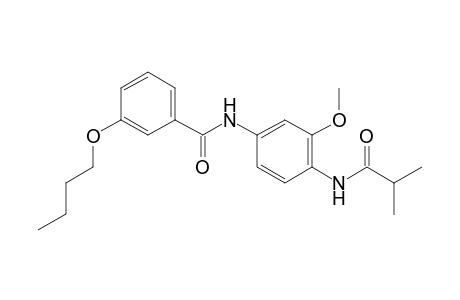 3-butoxy-N-[4-(isobutyrylamino)-3-methoxyphenyl]benzamide