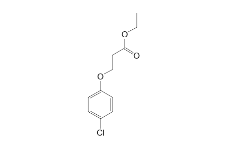 3-(p-chlorophenoxy)propionic acid, ethyl ester
