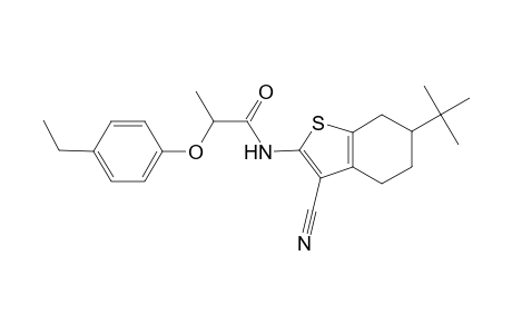 N-(6-tert-butyl-3-cyano-4,5,6,7-tetrahydro-1-benzothien-2-yl)-2-(4-ethylphenoxy)propanamide