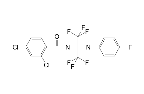 2,4-Dichloro-N-{1,1,1,3,3,3-hexafluoro-2-[(4-fluorophenyl)amino]propan-2-yl}benzamide