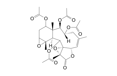 Excavatolide P