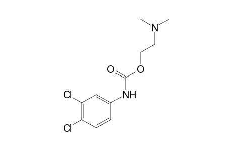 3,4-dichlorocarbanilic acid, 2-(dimethylamino)ethyl ester